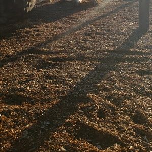 Meet your Posher, Emelyne